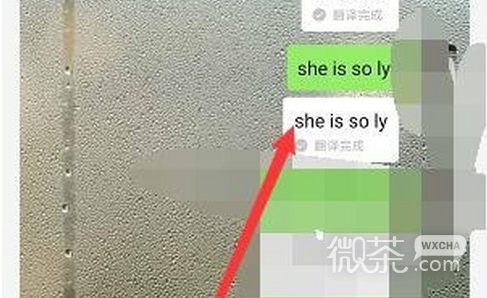 she  is  really  so微信翻译怎样玩