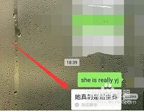 she  is  really  so微信翻译怎样玩