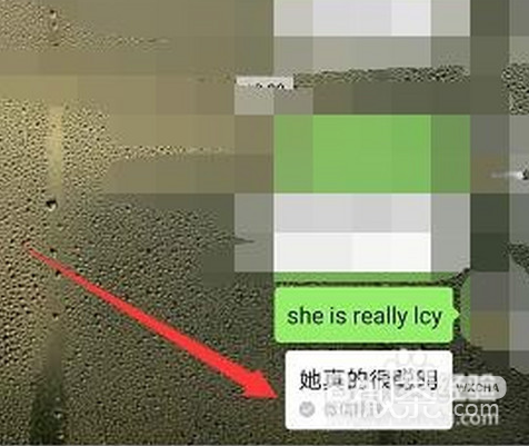 she  is  really  so微信翻译怎样玩