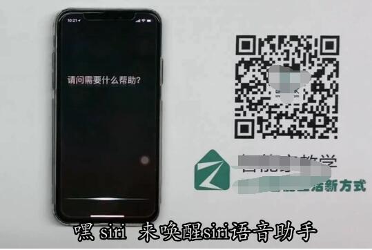 iPhone  X唤醒siri的具体方法截图