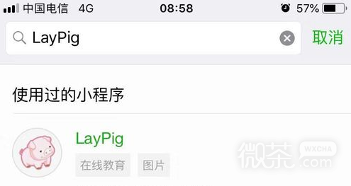 综合日语单词的小程序LayPig