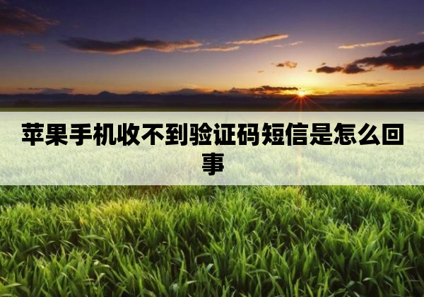 苹果手机收不到验证码短信是怎么回事