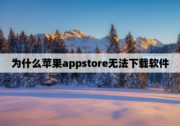 为什么苹果appstore无法下载软件