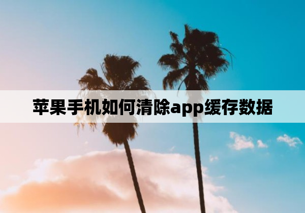 苹果手机如何清除app缓存数据