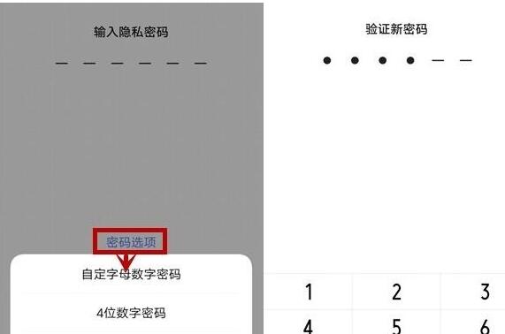 vivo  NEX  3s加密应用的操作流程截图