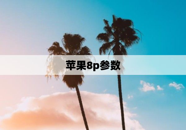 苹果8p参数