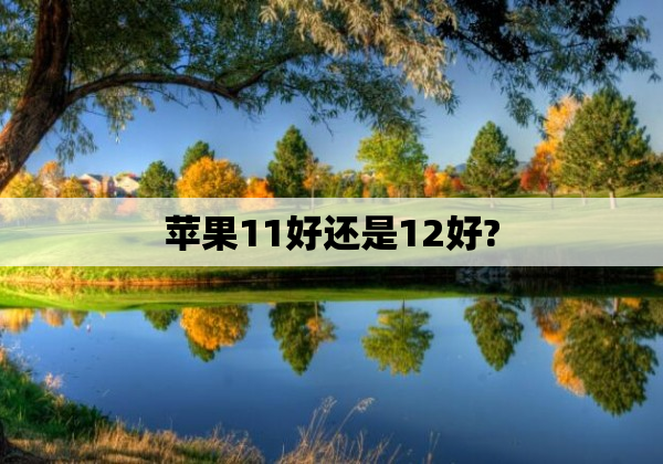 苹果11好还是12好?