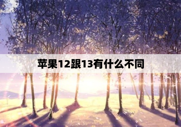 苹果12跟13有什么不同