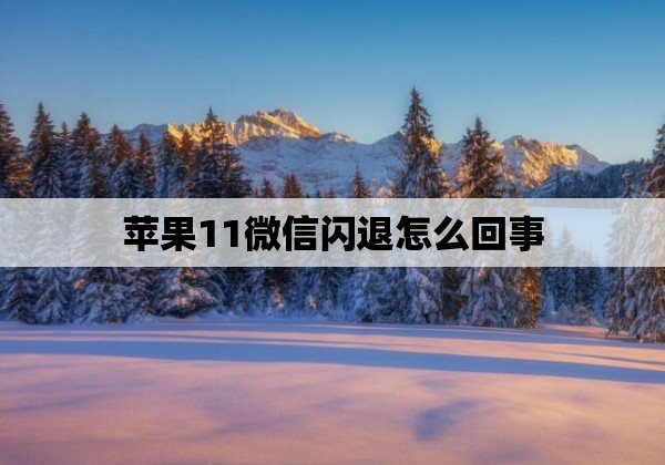 苹果11微信闪退怎么回事