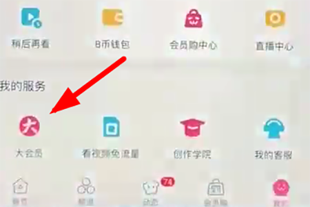 哔哩哔哩关闭自动续费的操作过程截图