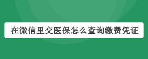 在微信里交医保怎么查询缴费凭证