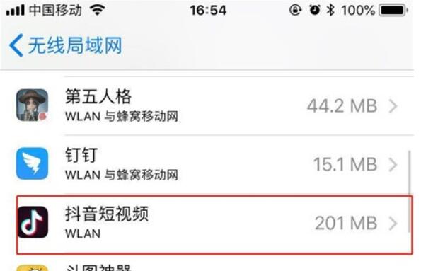 iPhone11pro  max设置应用禁止使用流量的方法步骤截图