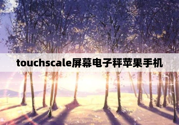 touchscale屏幕电子秤苹果手机