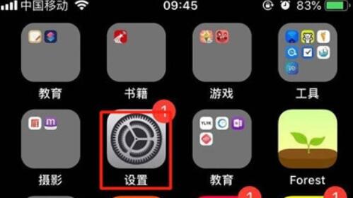 iPhone11pro  max无法显示日期的解决方法截图