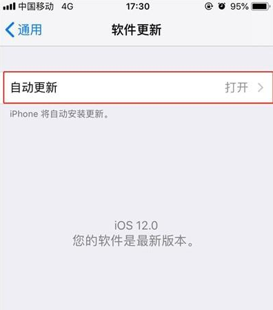 iPhone11pro  max关掉系统自动更新的简单操作截图