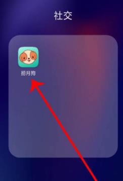 捞月狗的简单使用方法截图