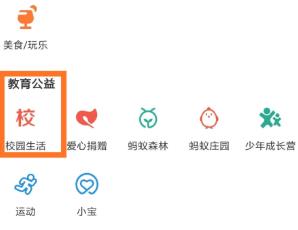 支付宝查询英语四六级成绩的具体方法截图