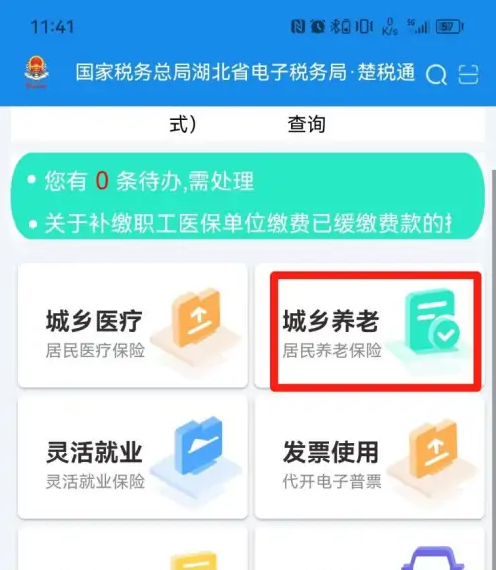 楚税通怎么查询养老保险缴费记录 具体操作方法介绍