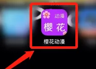 《樱花动漫》怎么进行意见反馈