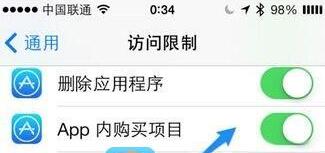 苹果手机怎么关闭App内购