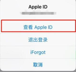 iPhone11pro  max关闭自动订阅的操作流程截图