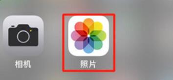 iPhone11pro  max进行搜索照片的操作步骤截图