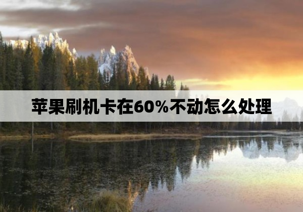 苹果刷机卡在60%不动怎么处理