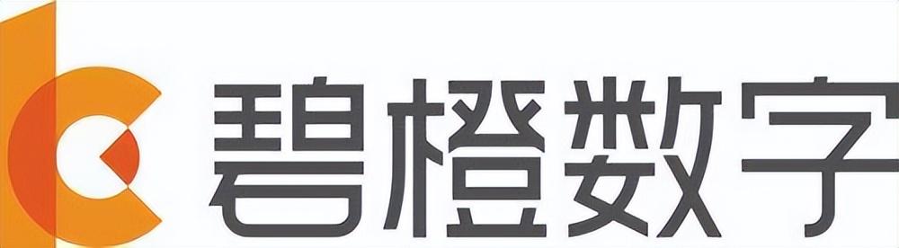 电商代运营十大公司排名（国内排名前五电商代运营服务公司）