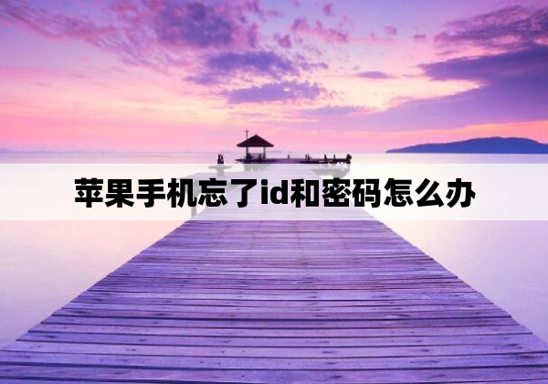 苹果手机忘了id和密码怎么办