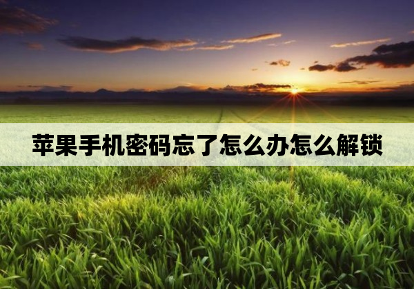 苹果手机密码忘了怎么办怎么解锁