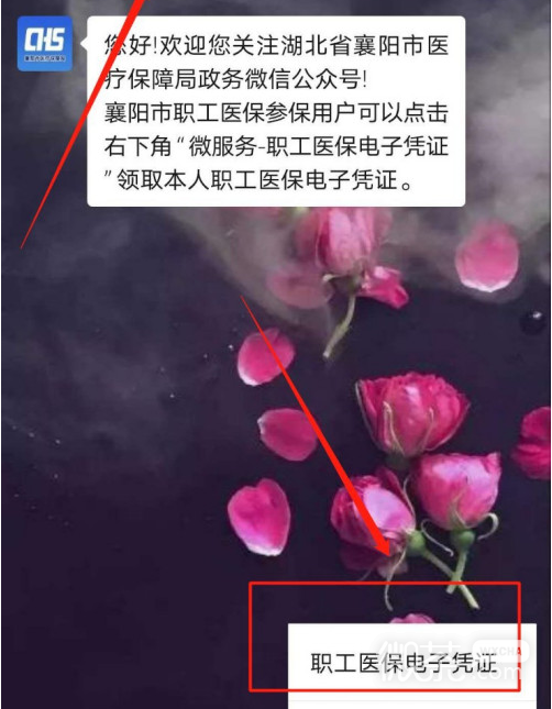 如何授权激活襄阳医保电子凭证