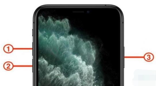 iPhone11强制重启手机的操作过程截图