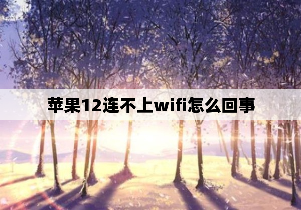 苹果12连不上wifi怎么回事