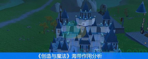 创造与魔法海带作用分析