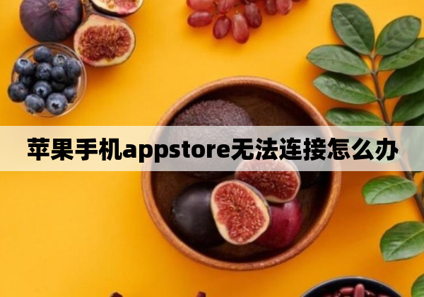 苹果手机appstore无法连接怎么办