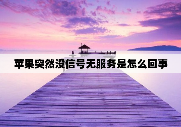 苹果突然没信号无服务是怎么回事