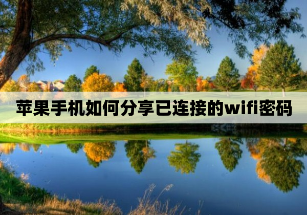 苹果手机如何分享已连接的wifi密码