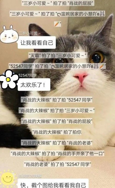 微信拍一拍怎么说话？微信拍一拍语音说话操作教程[多图]图片2