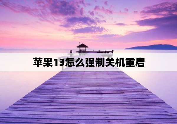 苹果13怎么强制关机重启