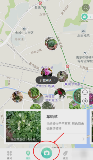 形色怎么确认植物名 识别品种方法介绍