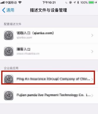 iPhonexs  max添加信任的操作步骤截图