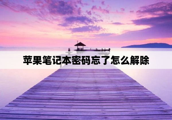 苹果笔记本密码忘了怎么解除