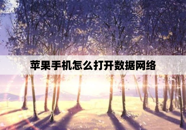 苹果手机怎么打开数据网络