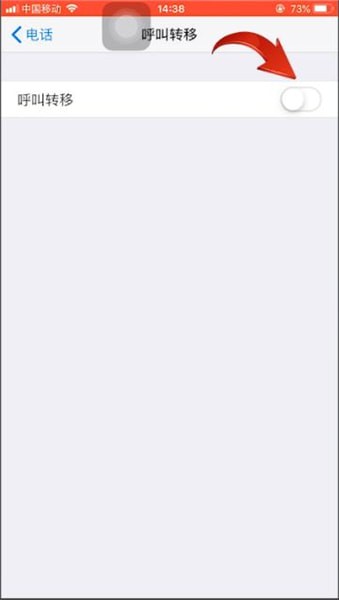 苹果手机中设置呼叫转移的具体操作步骤截图