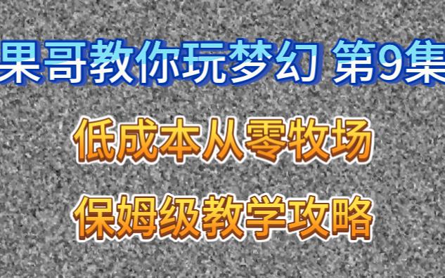 梦幻牧场玩法攻略 梦幻西游牧场孔雀怎么养最划算