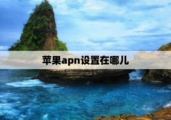 苹果apn设置在哪儿