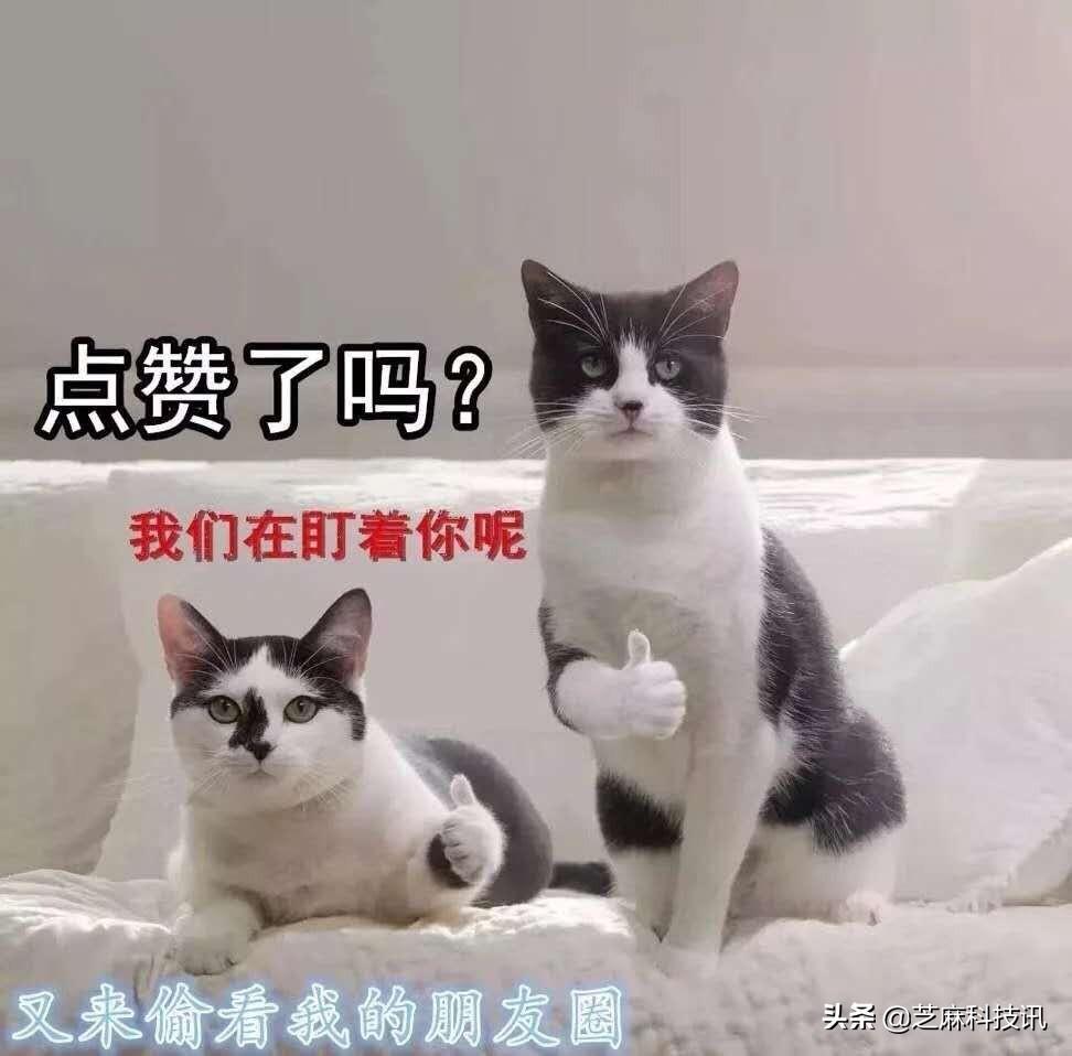 微信封面尺寸比例是多少？朋友圈封面尺寸设置教程