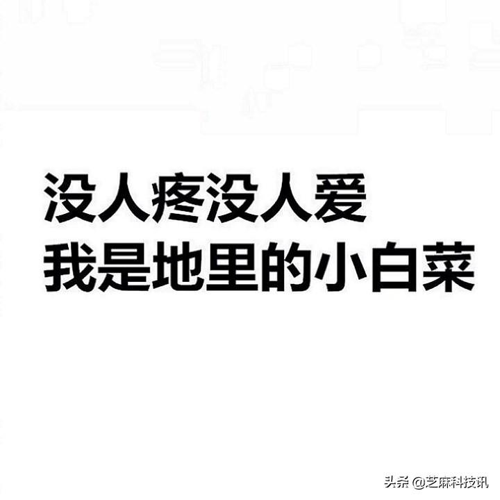 微信封面尺寸比例是多少？朋友圈封面尺寸设置教程