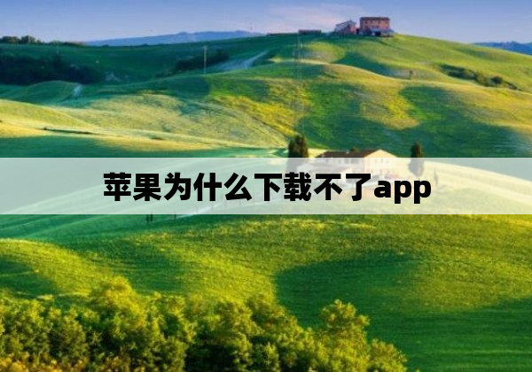 苹果为什么下载不了app