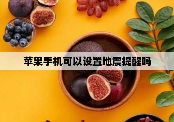 苹果手机可以设置地震提醒吗